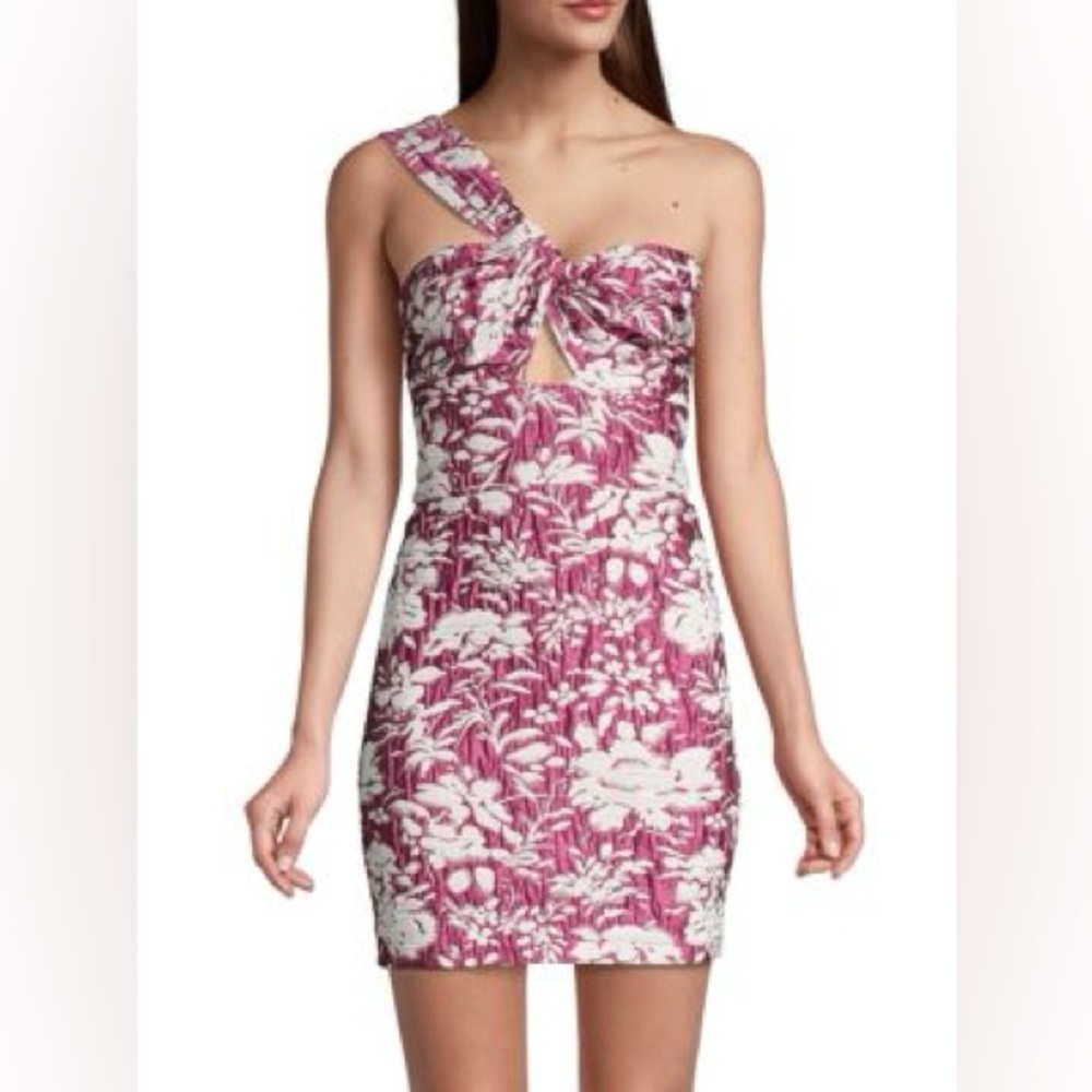 ALEXIS
Livie Asymmetric Floral Jacquard Mini Sheath Dress